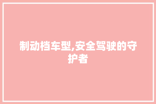制动档车型,安全驾驶的守护者
