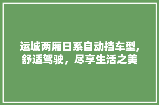 运城两厢日系自动挡车型,舒适驾驶，尽享生活之美