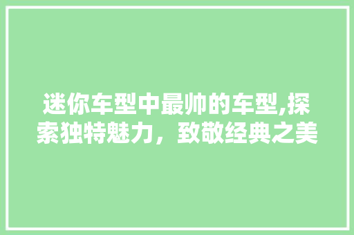 迷你车型中最帅的车型,探索独特魅力，致敬经典之美
