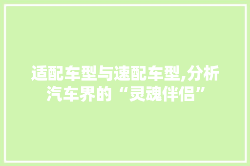 适配车型与速配车型,分析汽车界的“灵魂伴侣”