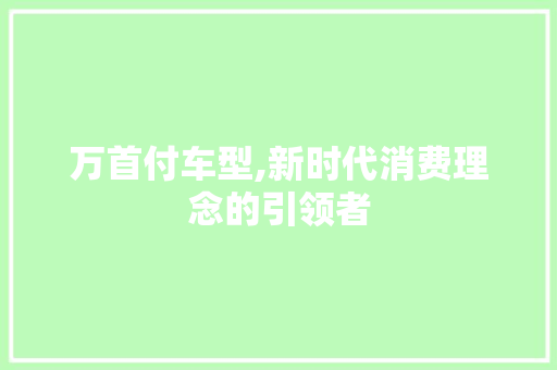 万首付车型,新时代消费理念的引领者