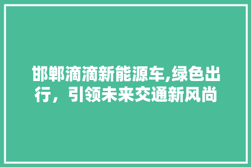 邯郸滴滴新能源车,绿色出行，引领未来交通新风尚