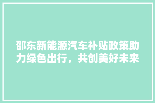 邵东新能源汽车补贴政策助力绿色出行，共创美好未来 底盘配件