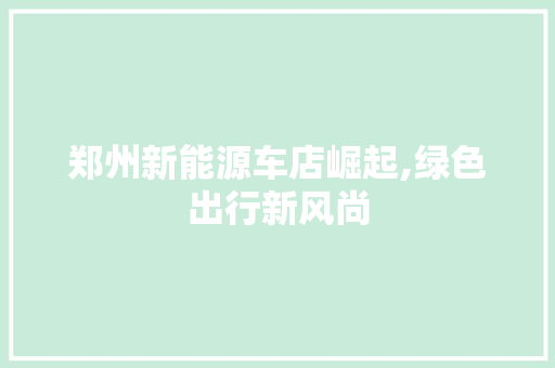 郑州新能源车店崛起,绿色出行新风尚 发动机配件