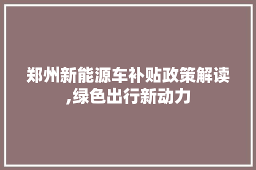 郑州新能源车补贴政策解读,绿色出行新动力