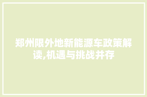 郑州限外地新能源车政策解读,机遇与挑战并存 发动机配件