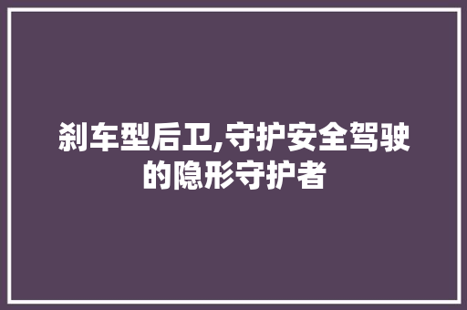 刹车型后卫,守护安全驾驶的隐形守护者
