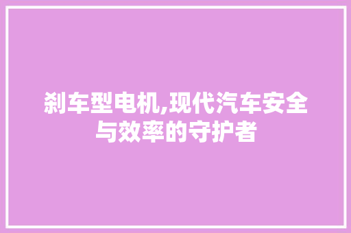 刹车型电机,现代汽车安全与效率的守护者