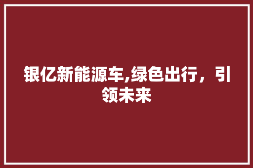 银亿新能源车,绿色出行，引领未来