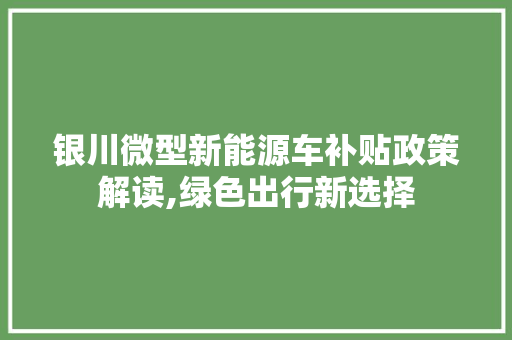 银川微型新能源车补贴政策解读,绿色出行新选择 车身配件