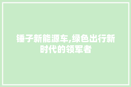 锤子新能源车,绿色出行新时代的领军者