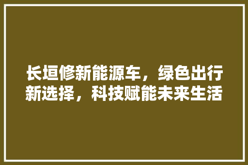 长垣修新能源车，绿色出行新选择，科技赋能未来生活