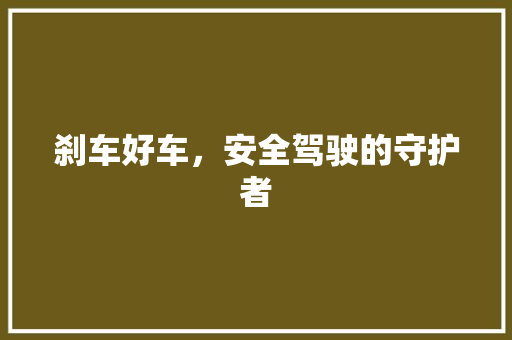 刹车好车，安全驾驶的守护者