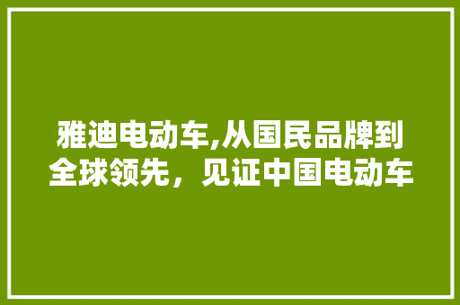 雅迪电动车,从国民品牌到全球领先，见证中国电动车的崛起