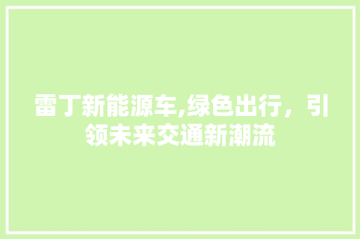 雷丁新能源车,绿色出行，引领未来交通新潮流