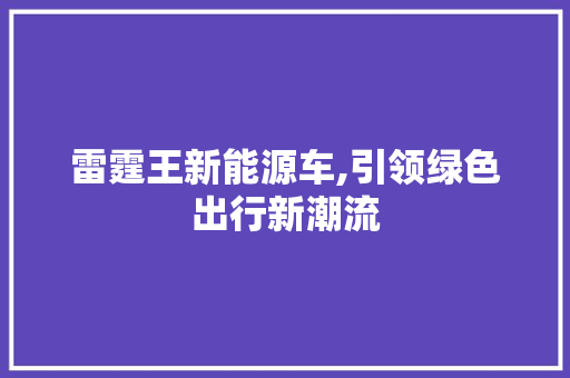 雷霆王新能源车,引领绿色出行新潮流