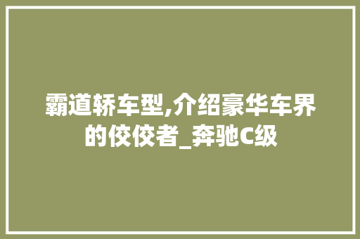 霸道轿车型,介绍豪华车界的佼佼者_奔驰C级