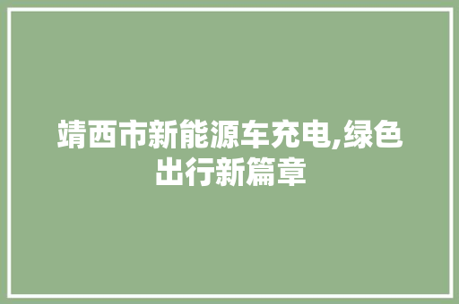 靖西市新能源车充电,绿色出行新篇章