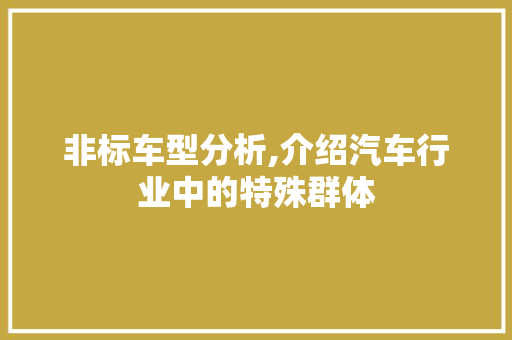非标车型分析,介绍汽车行业中的特殊群体