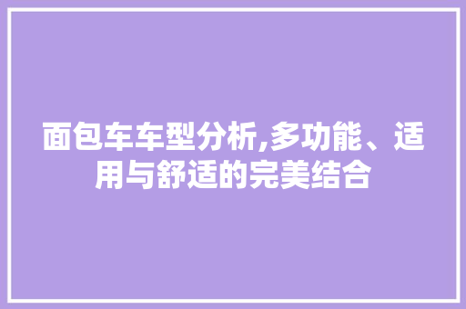 面包车车型分析,多功能、适用与舒适的完美结合