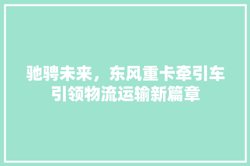 驰骋未来，东风重卡牵引车引领物流运输新篇章