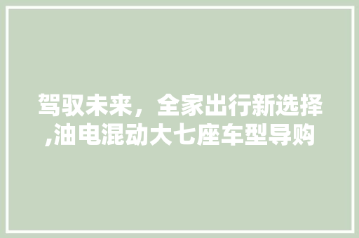 驾驭未来，全家出行新选择,油电混动大七座车型导购指南