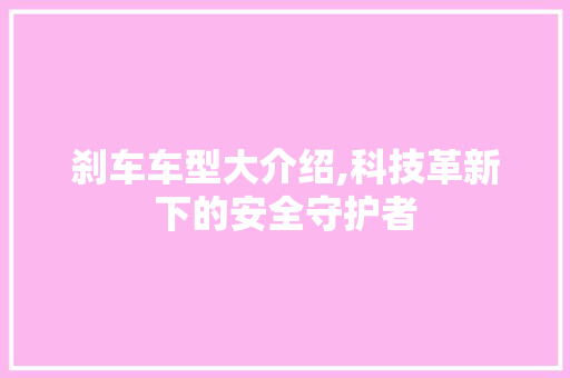 刹车车型大介绍,科技革新下的安全守护者
