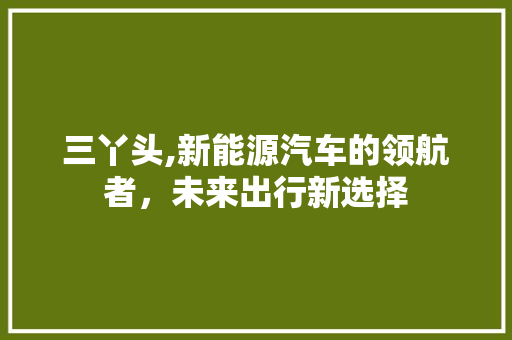 三丫头,新能源汽车的领航者，未来出行新选择