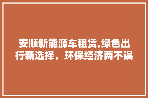 安顺新能源车租赁,绿色出行新选择，环保经济两不误