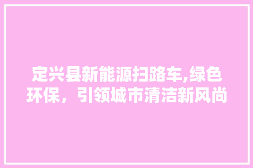 定兴县新能源扫路车,绿色环保，引领城市清洁新风尚