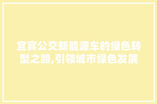 宜宾公交新能源车的绿色转型之路,引领城市绿色发展新潮流