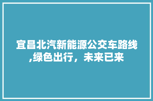 宜昌北汽新能源公交车路线,绿色出行，未来已来