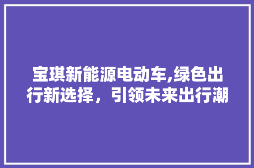 宝琪新能源电动车,绿色出行新选择，引领未来出行潮流