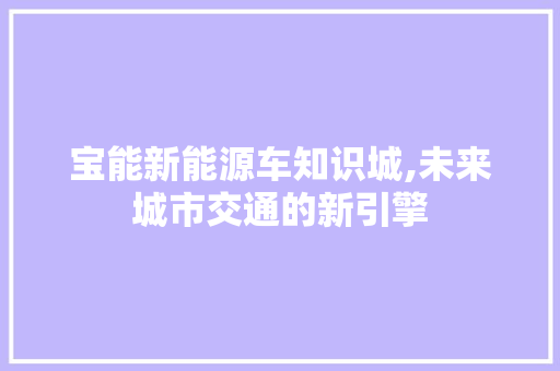 宝能新能源车知识城,未来城市交通的新引擎