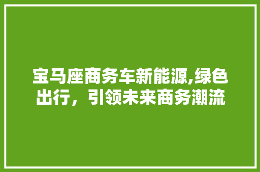 宝马座商务车新能源,绿色出行，引领未来商务潮流