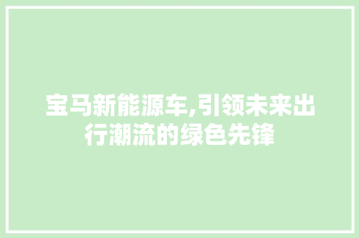 宝马新能源车,引领未来出行潮流的绿色先锋