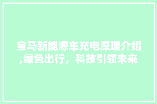 宝马新能源车充电原理介绍,绿色出行，科技引领未来