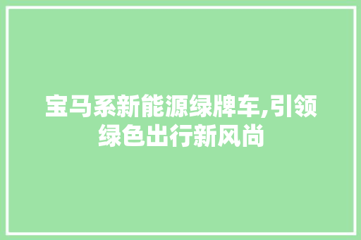 宝马系新能源绿牌车,引领绿色出行新风尚