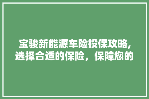 宝骏新能源车险投保攻略,选择合适的保险，保障您的绿色出行