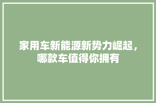 家用车新能源新势力崛起，哪款车值得你拥有