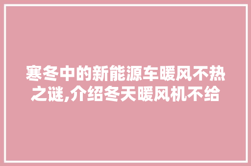 寒冬中的新能源车暖风不热之谜,介绍冬天暖风机不给力的背后真相