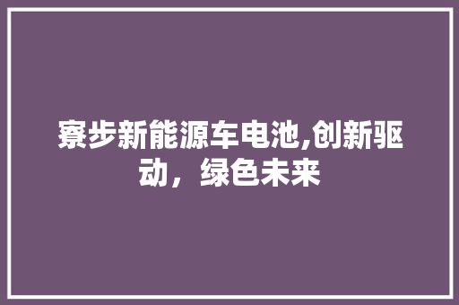 寮步新能源车电池,创新驱动，绿色未来