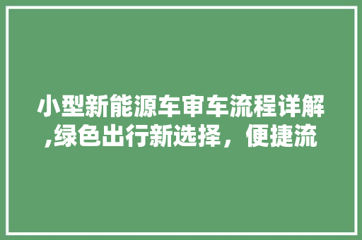 小型新能源车审车流程详解,绿色出行新选择，便捷流程保障