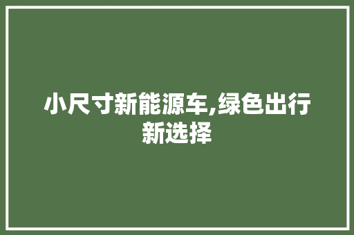 小尺寸新能源车,绿色出行新选择