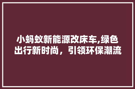 小蚂蚁新能源改床车,绿色出行新时尚，引领环保潮流