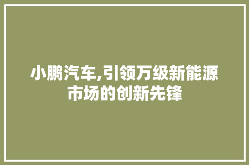 小鹏汽车,引领万级新能源市场的创新先锋