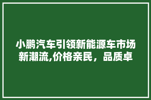 小鹏汽车引领新能源车市场新潮流,价格亲民，品质卓越