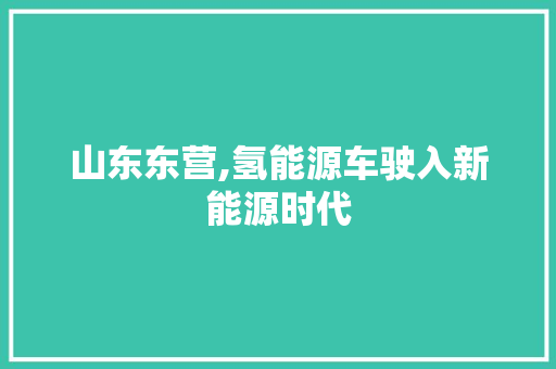 山东东营,氢能源车驶入新能源时代