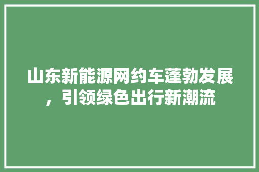 山东新能源网约车蓬勃发展，引领绿色出行新潮流