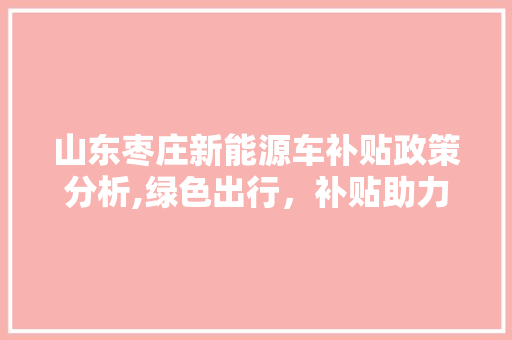 山东枣庄新能源车补贴政策分析,绿色出行，补贴助力